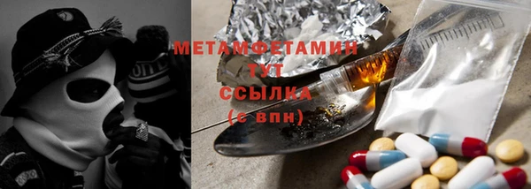 ГАЛЛЮЦИНОГЕННЫЕ ГРИБЫ Гусев