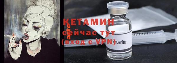 ГАЛЛЮЦИНОГЕННЫЕ ГРИБЫ Гусев