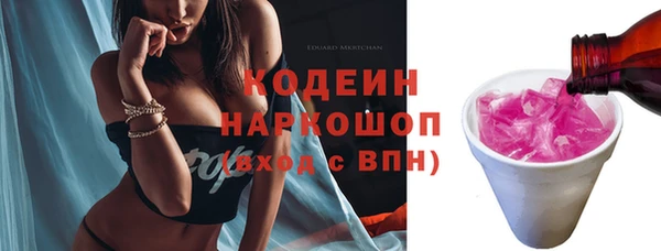 ГАЛЛЮЦИНОГЕННЫЕ ГРИБЫ Гусев