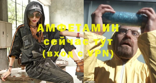 ГАЛЛЮЦИНОГЕННЫЕ ГРИБЫ Гусев