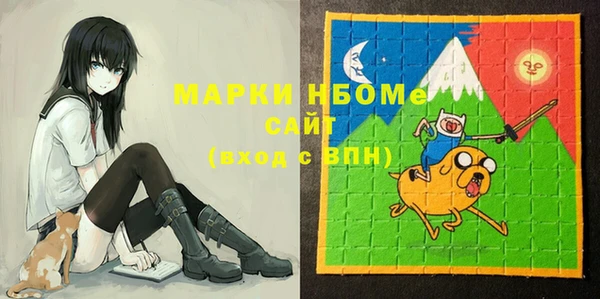 ГАЛЛЮЦИНОГЕННЫЕ ГРИБЫ Гусев